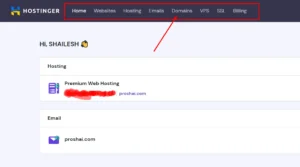 Domains Renew Process