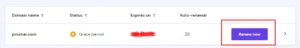 Domains Renew Process