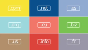 Domains Renew Process