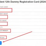 Dummy Registration Card